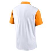 Tennessee Nike Campus Pattern Chest Stripe Polo